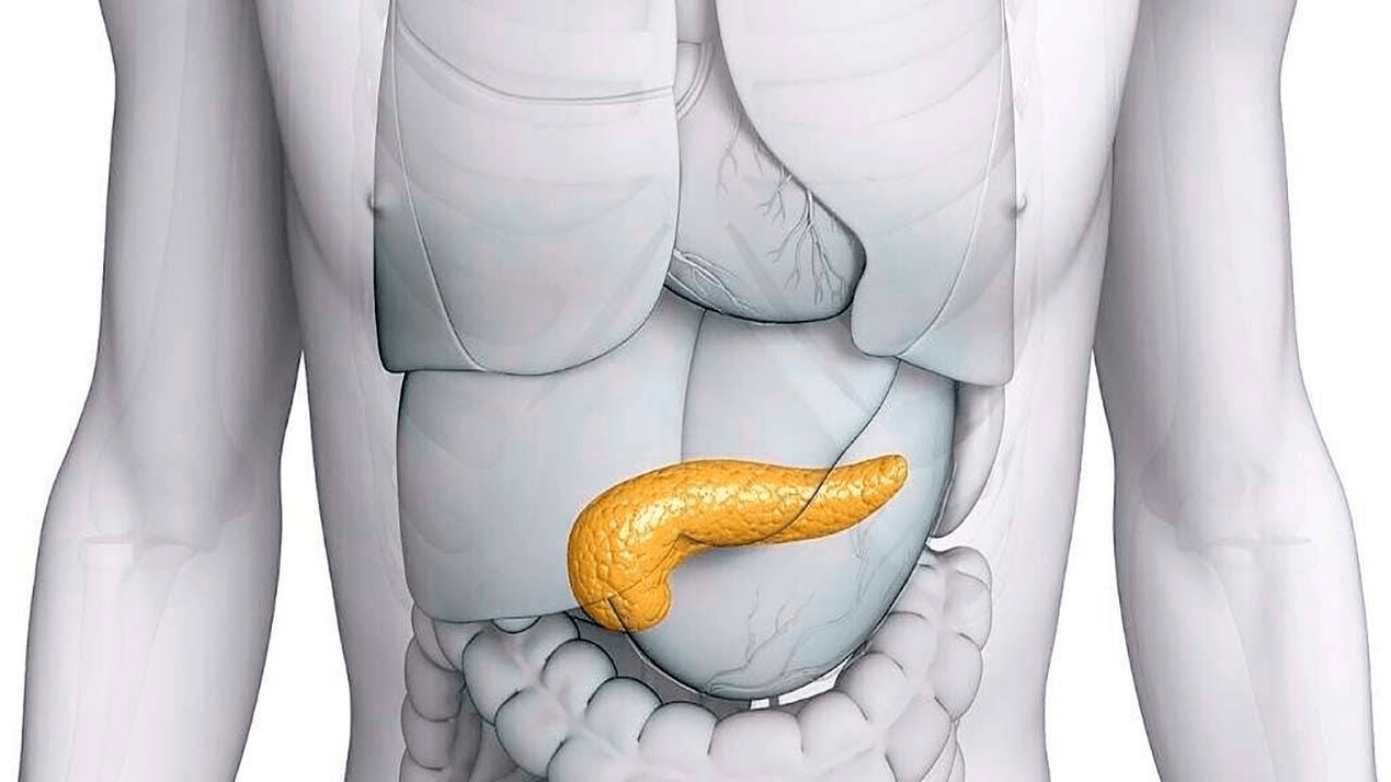 healthy pancreas after taking Glucoren